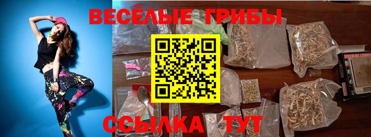 Псилоцибиновые грибы Cubensis Тобольск