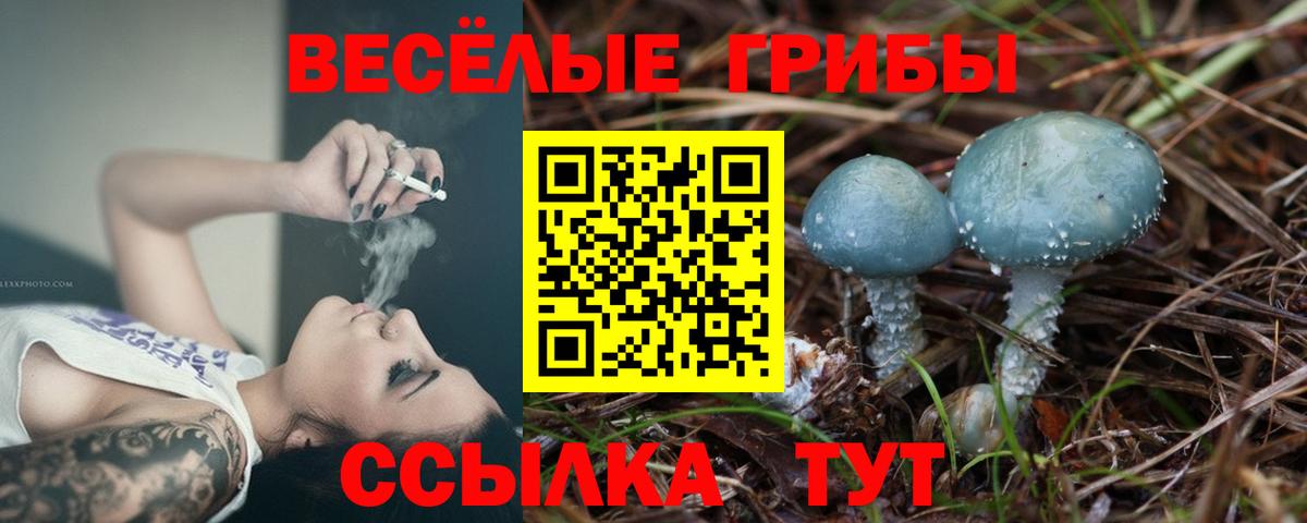 где купить наркотик  Галлюциногенные грибы Psilocybe  Вход с VPN  Тобольск 